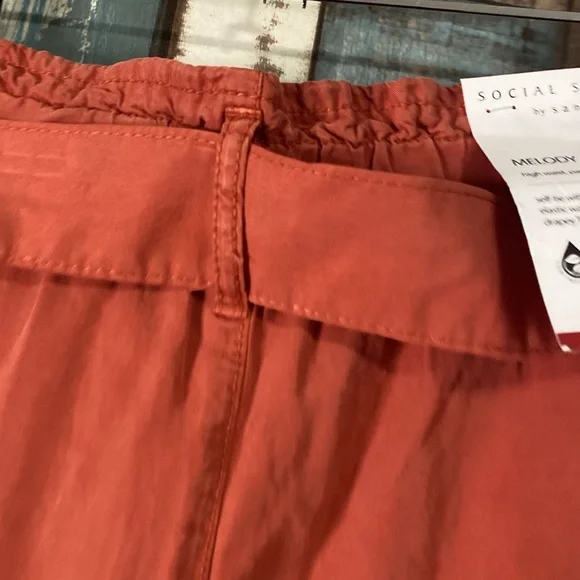 Social standard melody drapery tencel fabric belted pants - Picture 13 of 13